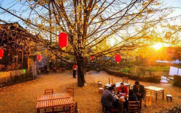 首期研學(xué)旅行指導(dǎo)師職業(yè)能力等級評價實訓(xùn)班