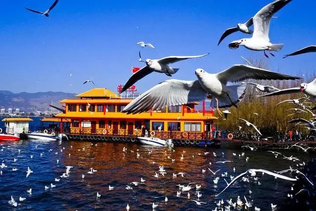 騰沖什么時候去最好，騰沖什么季節去最好？騰沖旅游季節時間推薦