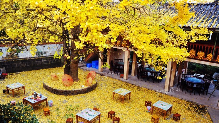 云南騰沖研學旅行：在研學中培養學生的創新精神和實踐能力