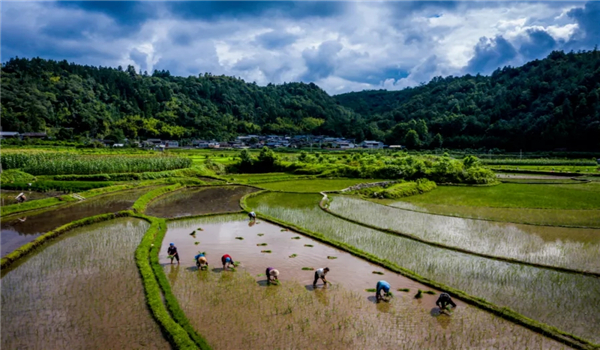 騰沖旅游