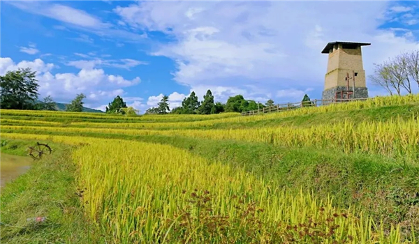 騰沖康養