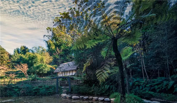 騰沖康養