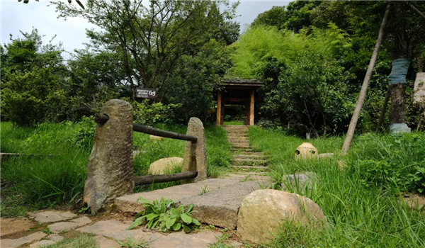騰沖研學