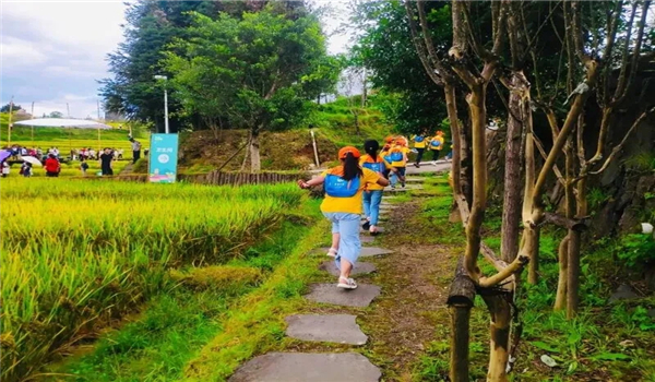 騰沖研學