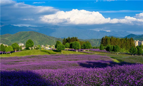 騰沖旅游