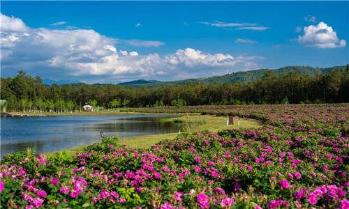 騰沖旅游