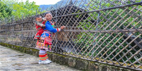 騰沖旅游