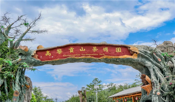 【國家AAA級景區】騰沖高黎貢山茶博園