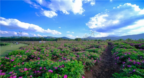 騰沖旅游