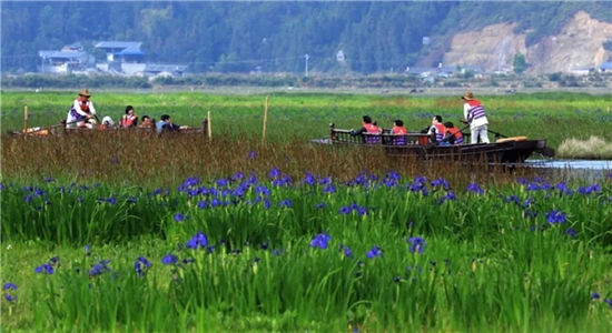 騰沖旅游