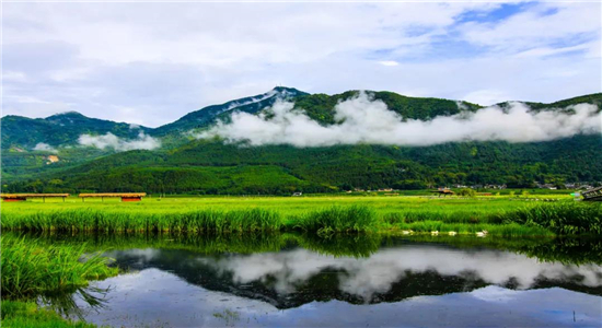 騰沖旅游