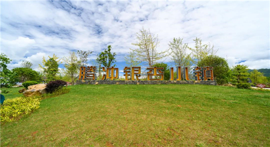 騰沖旅游