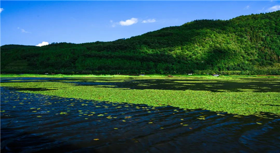 騰沖旅游