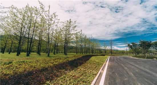 騰沖旅游