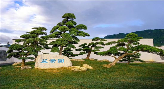騰沖旅游