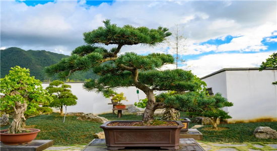 騰沖旅游景點(diǎn)