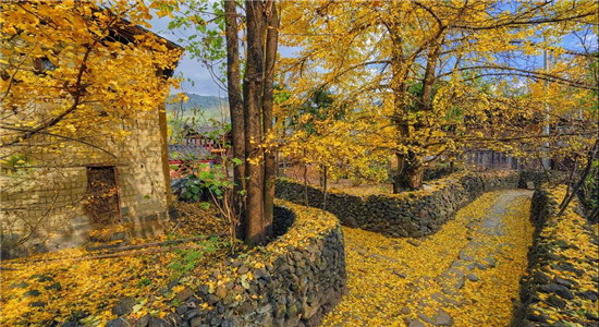 騰沖旅游