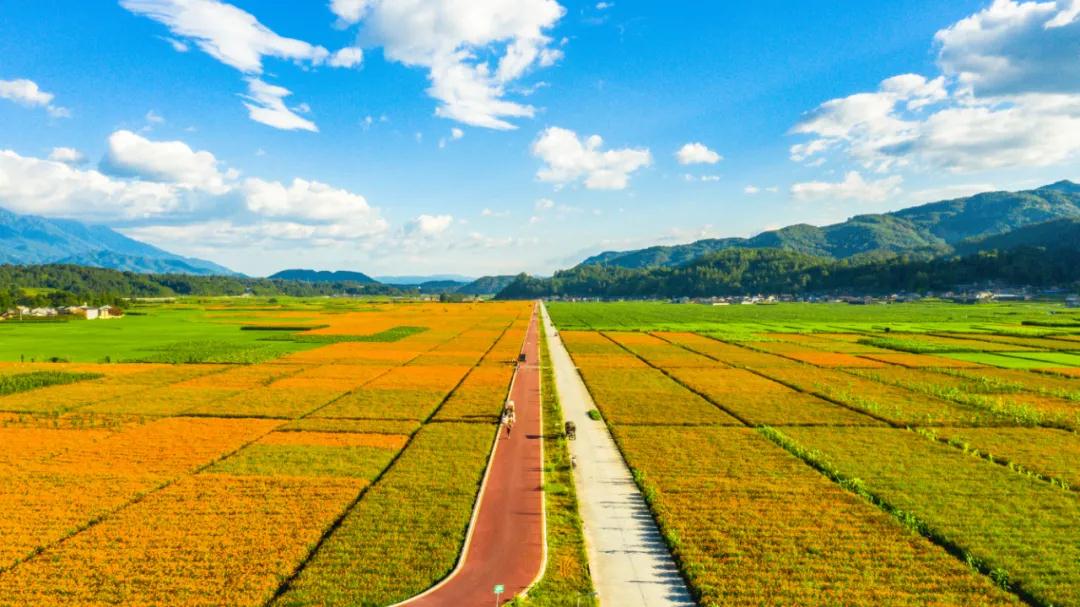 騰沖資訊：來騰沖賞花海之路，玉璧古路，馬幫之路，世界之路，抗戰(zhàn)之路。