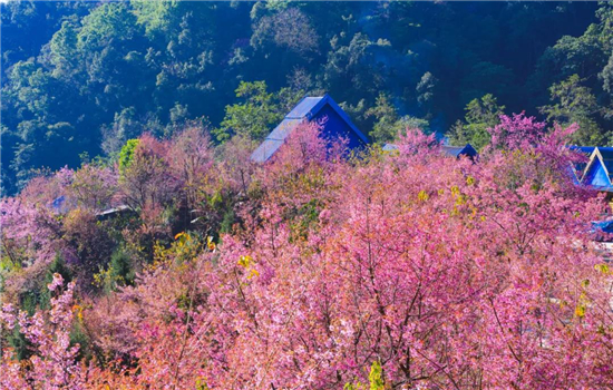 騰沖旅游