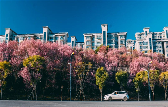 騰沖旅游