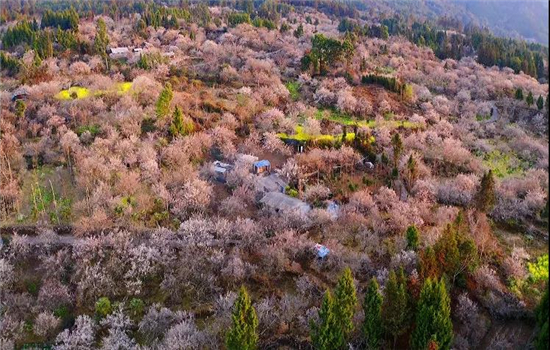 騰沖旅游