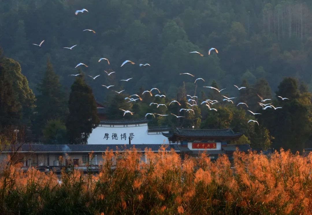 騰沖旅游