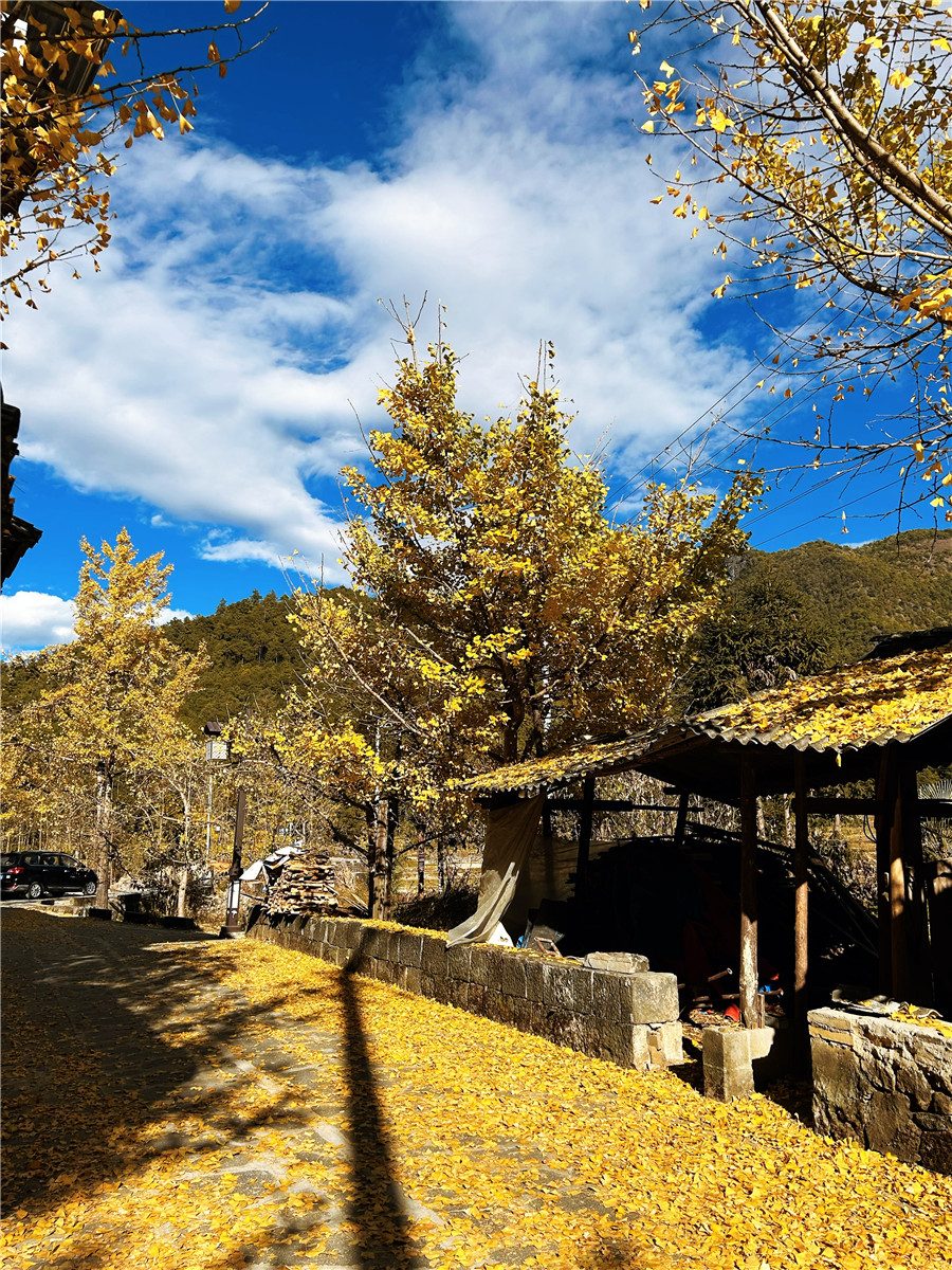 騰沖旅游